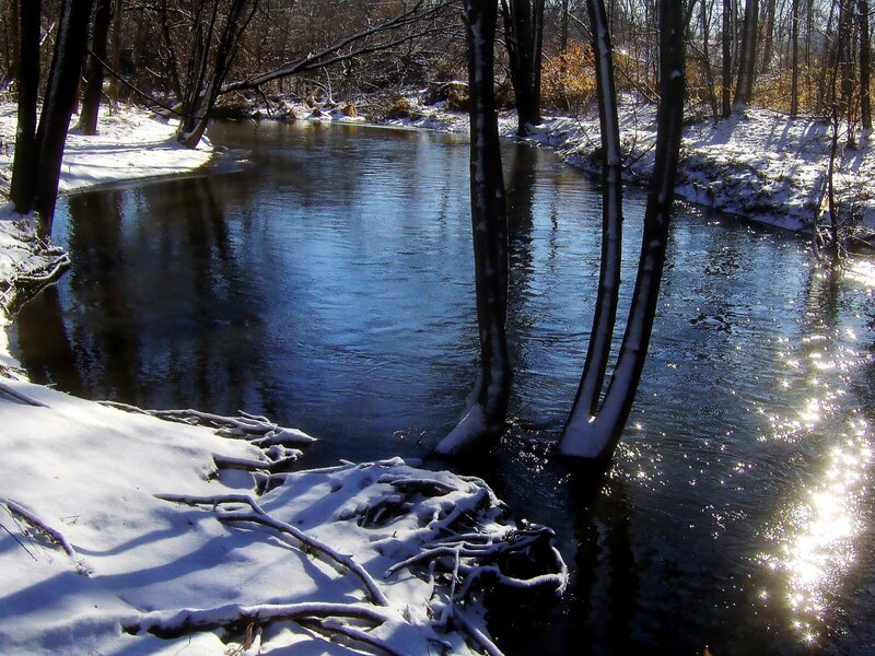 Winter river in snowy forest