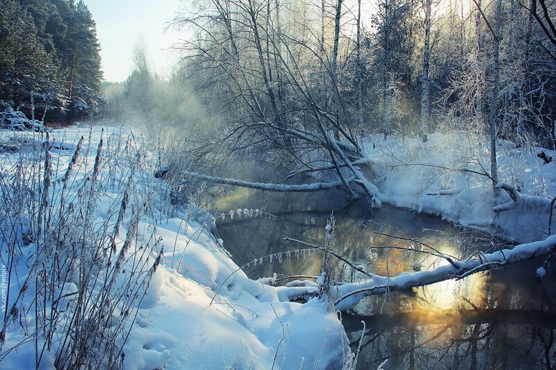 Winter river in snowy forest