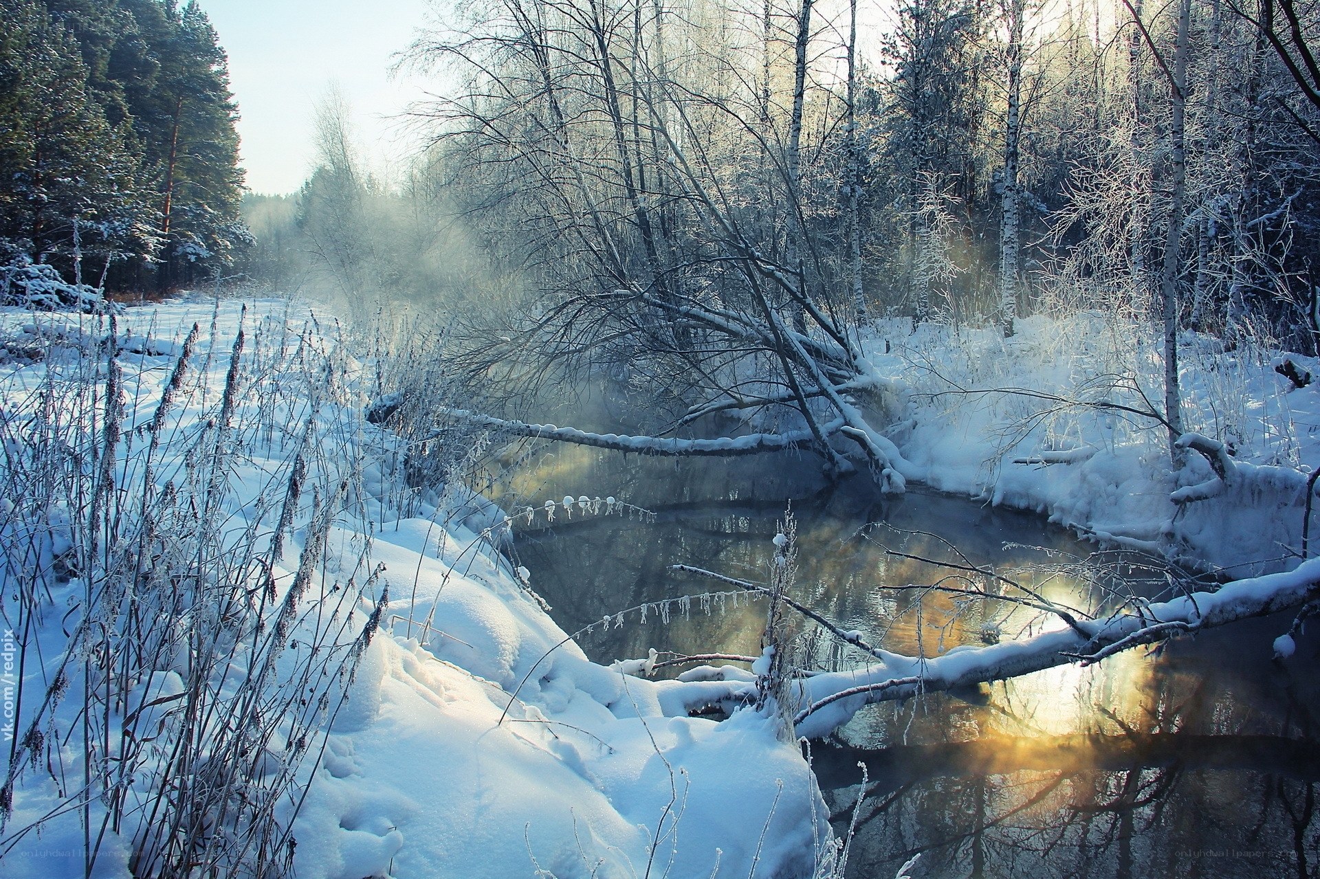 Winter river in snowy forest