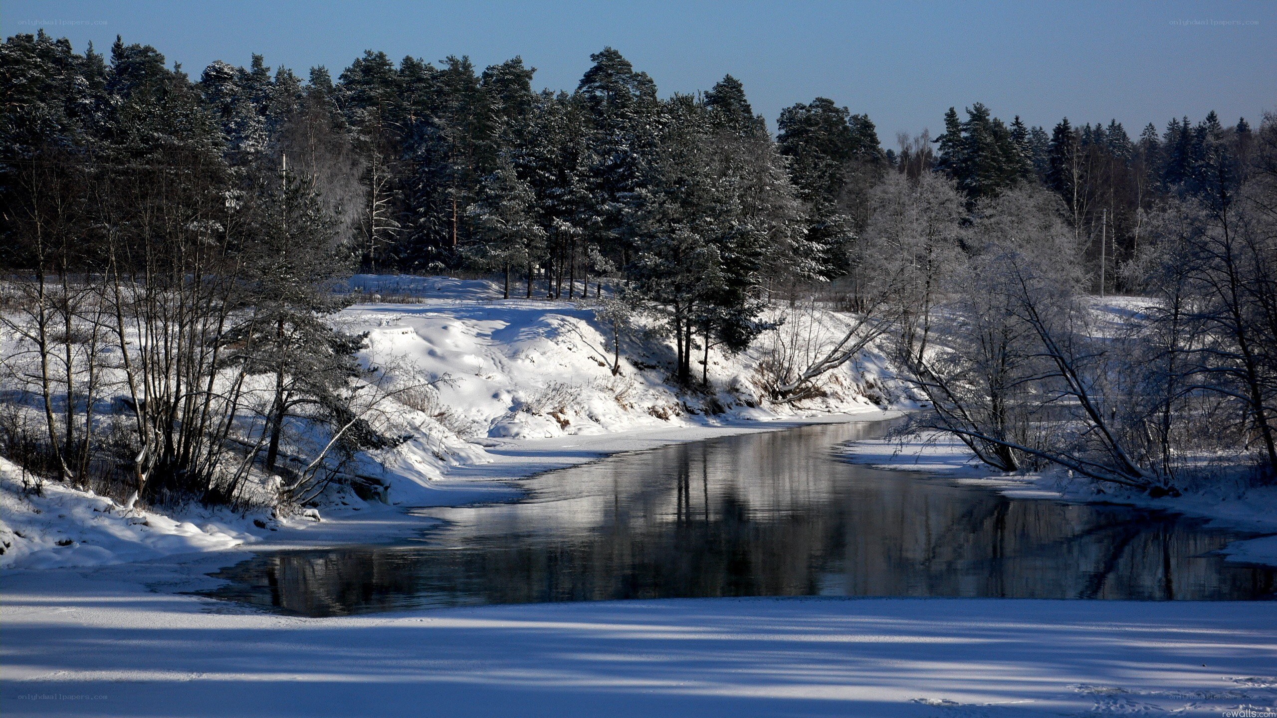 Winter river landscape