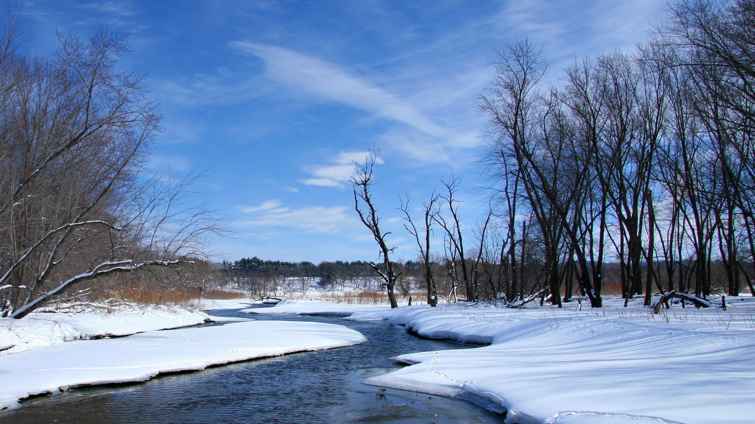 Winter river landscape