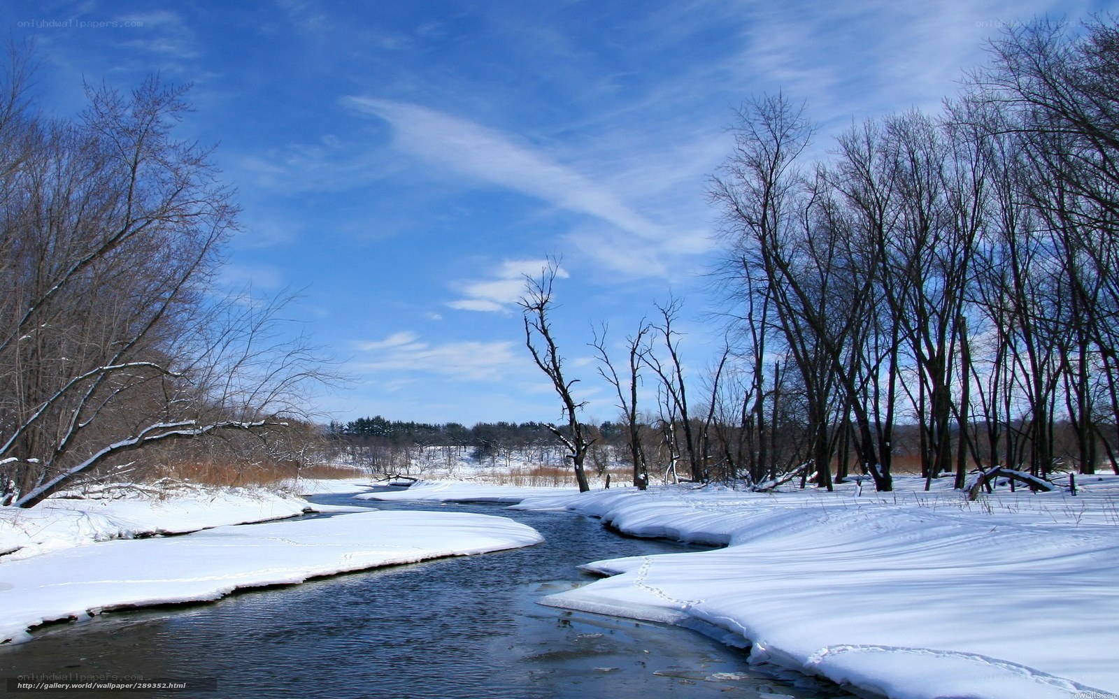 Winter river landscape
