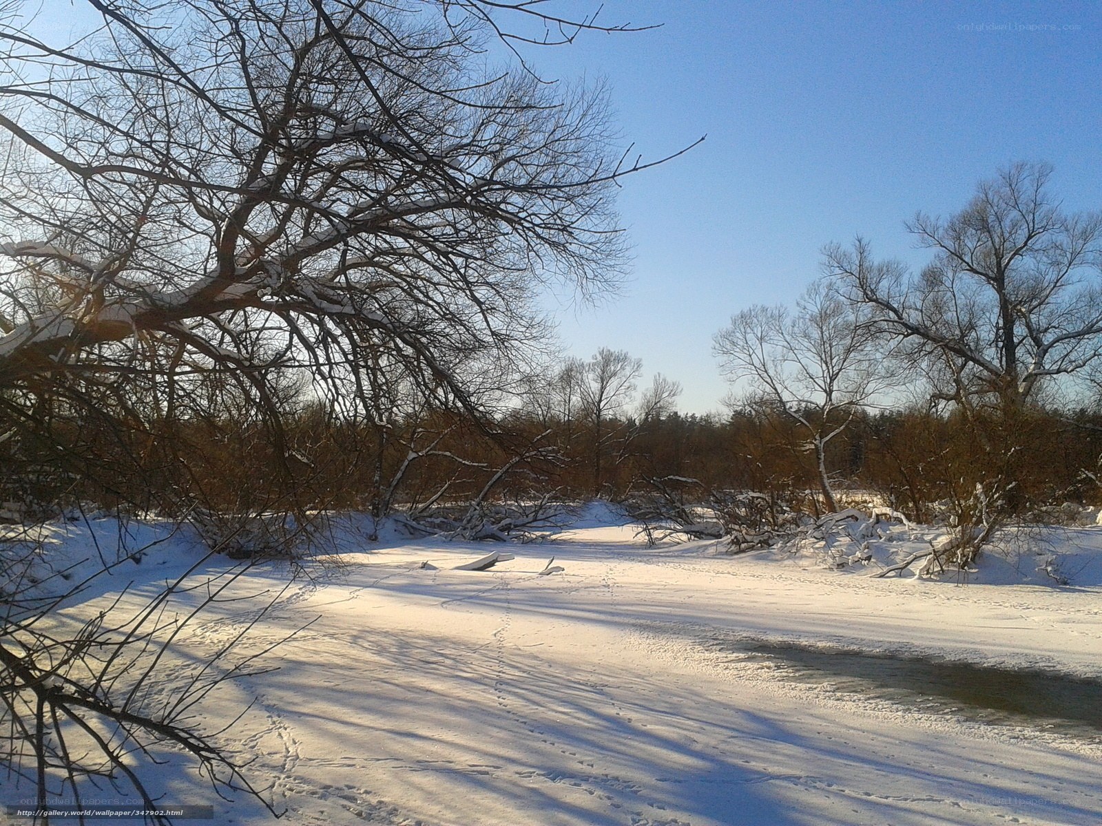 Winter river landscape