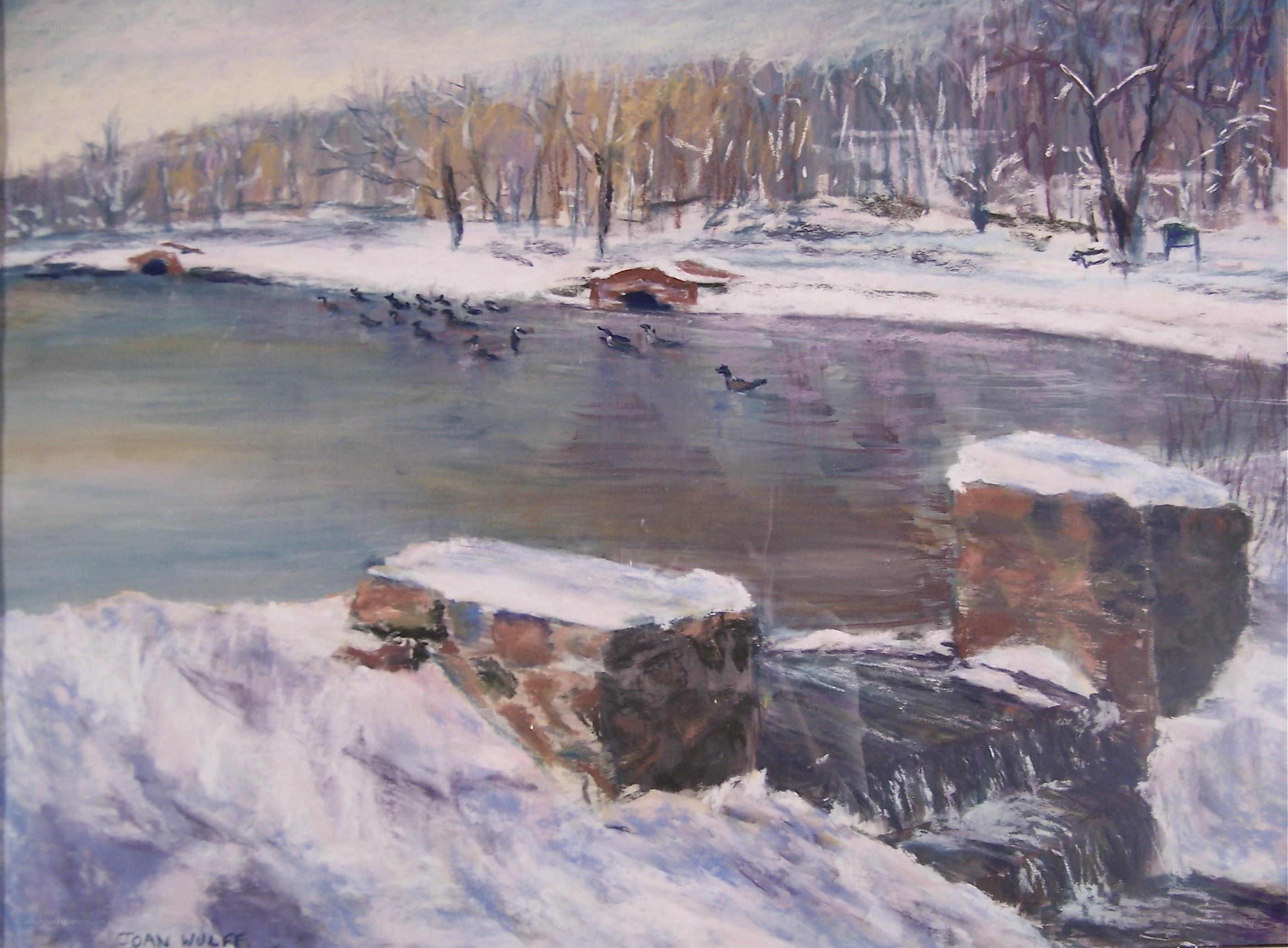 Winter River Scene with Ducks