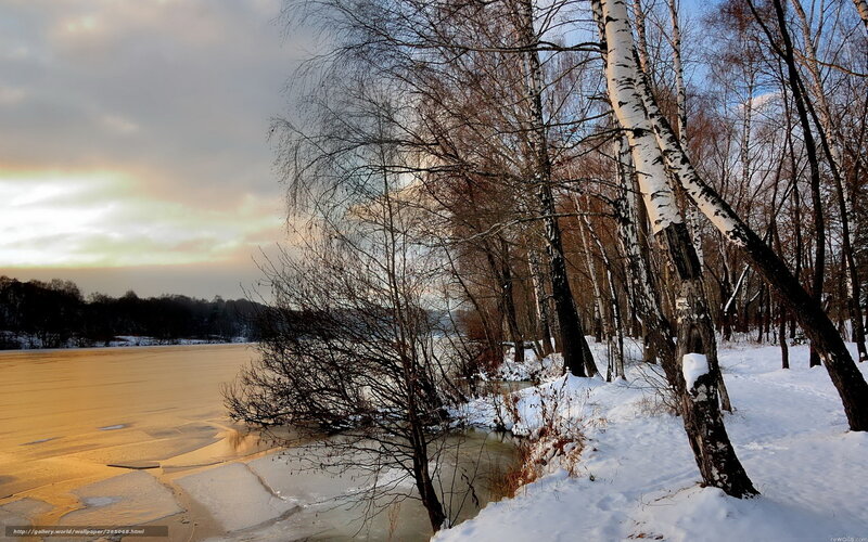 Winter river with birch trees