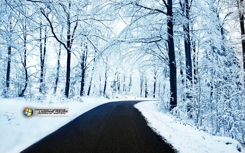Winter Road in Snowy Forest