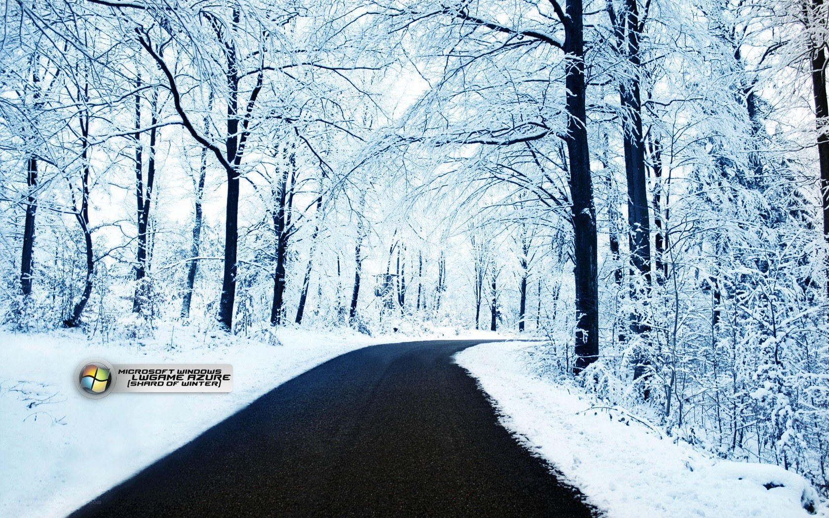 Winter Road in Snowy Forest