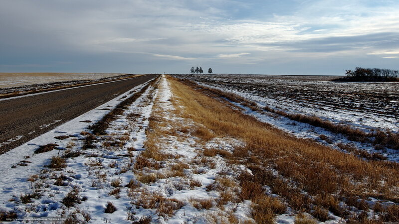 Winter road through snowy fields