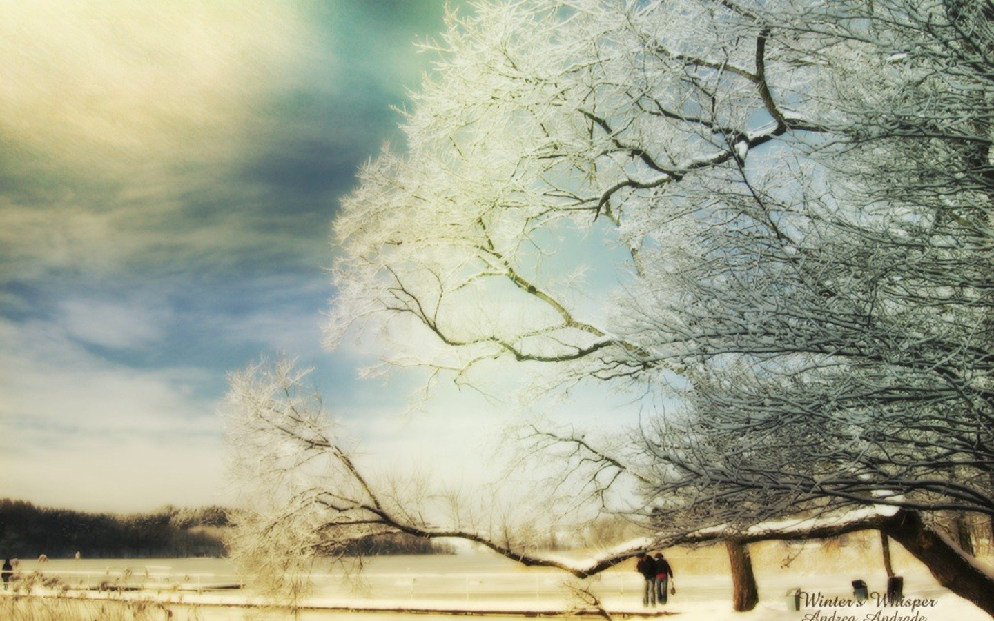 Winter's Whisper