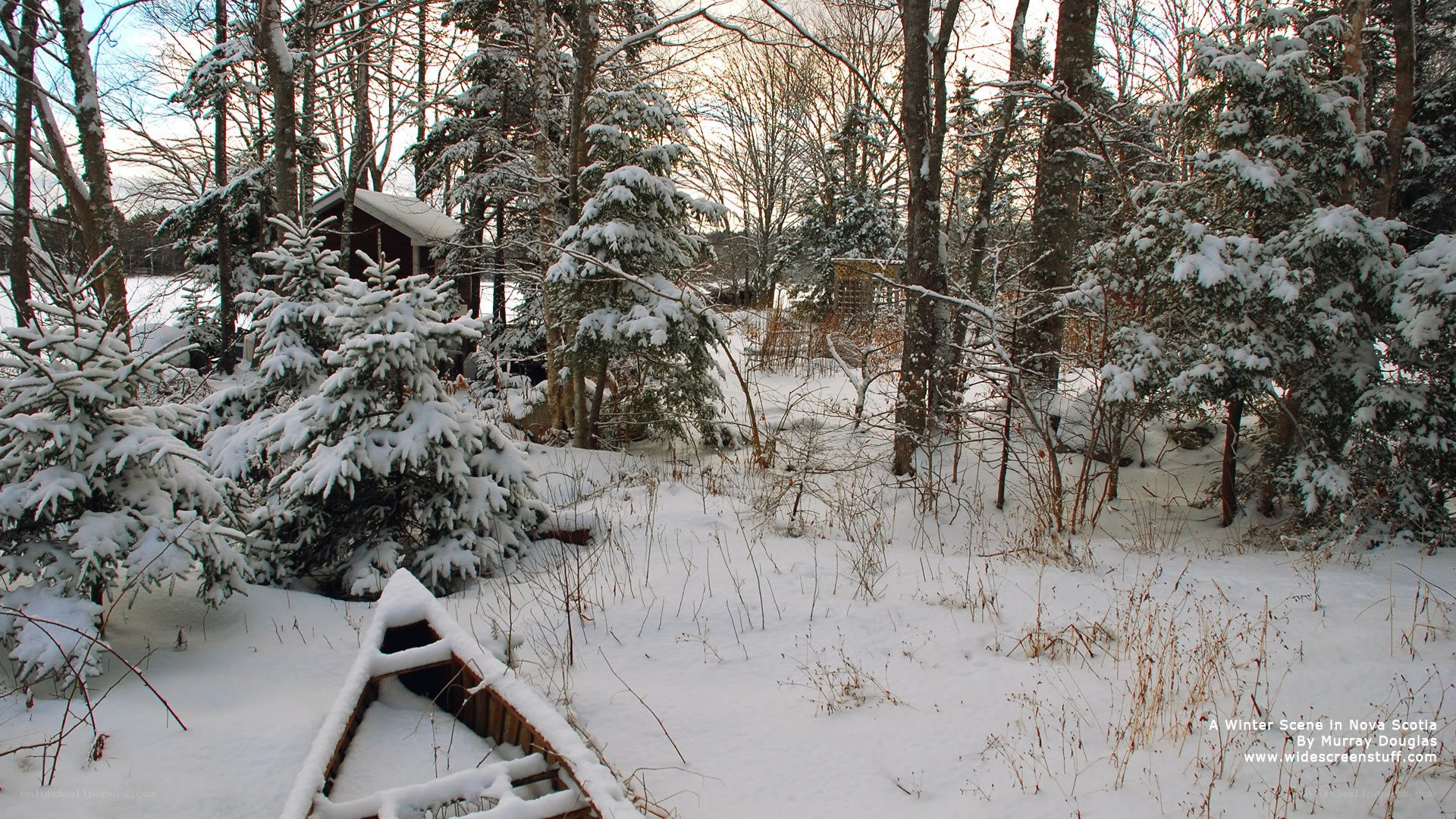 Winter Scene in Nova Scotia