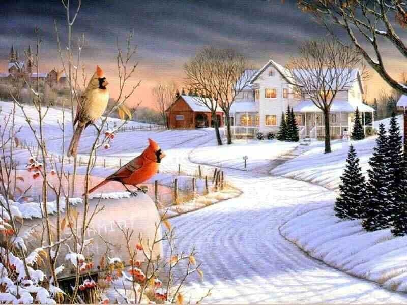 Winter scene with cardinals