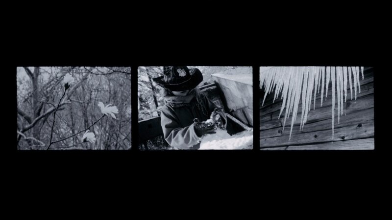 Winter scenes in black and white