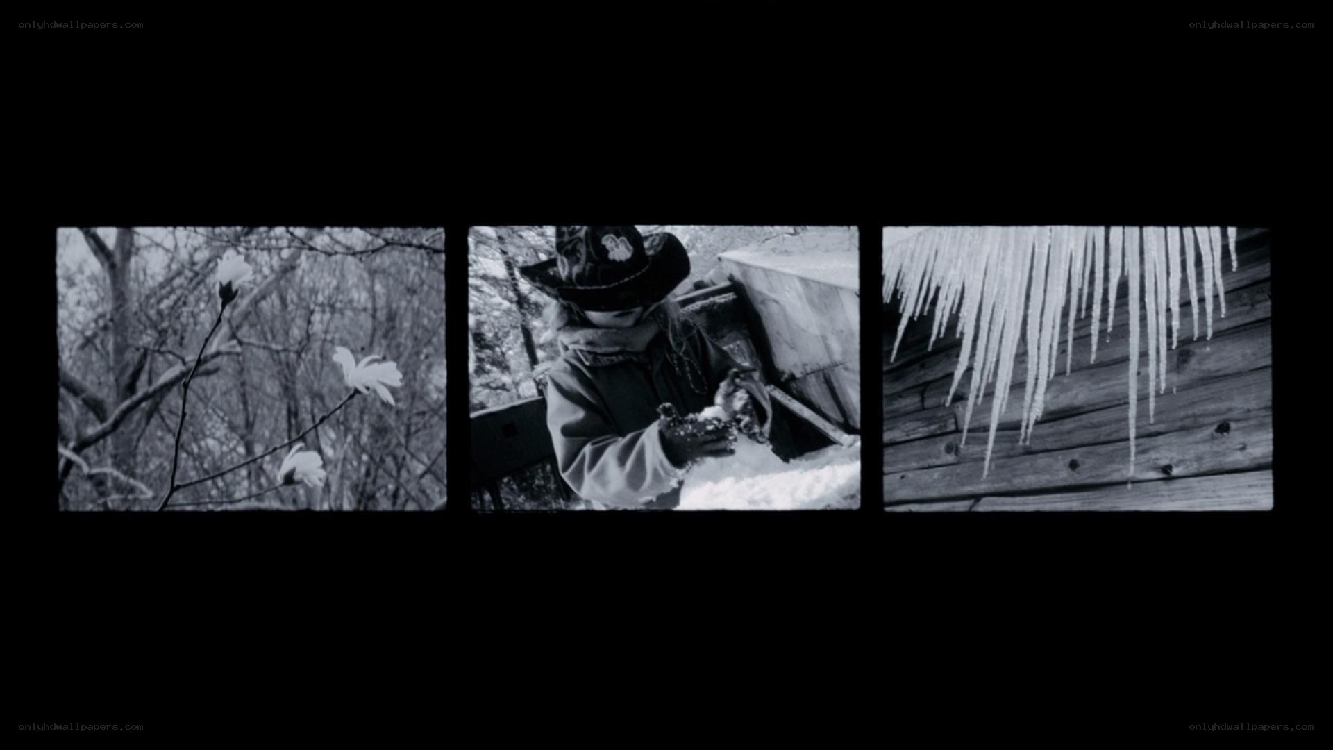 Winter scenes in black and white