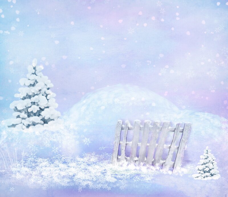 Winter snow scene