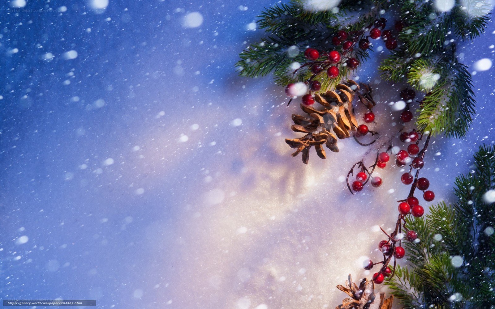 Winter snow with pine and berries
