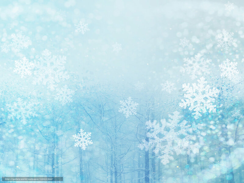 winter snowflake forest