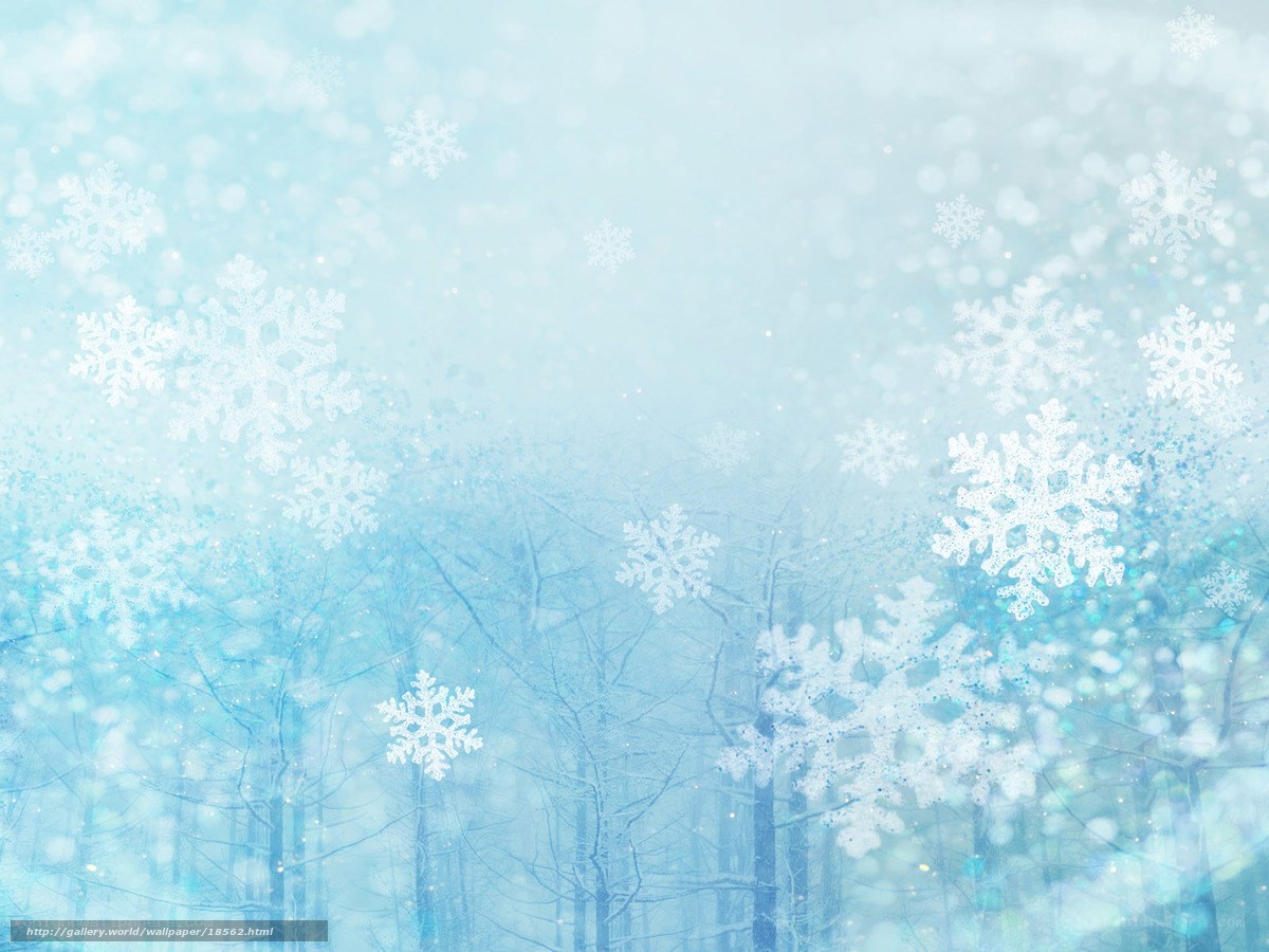 winter snowflake forest