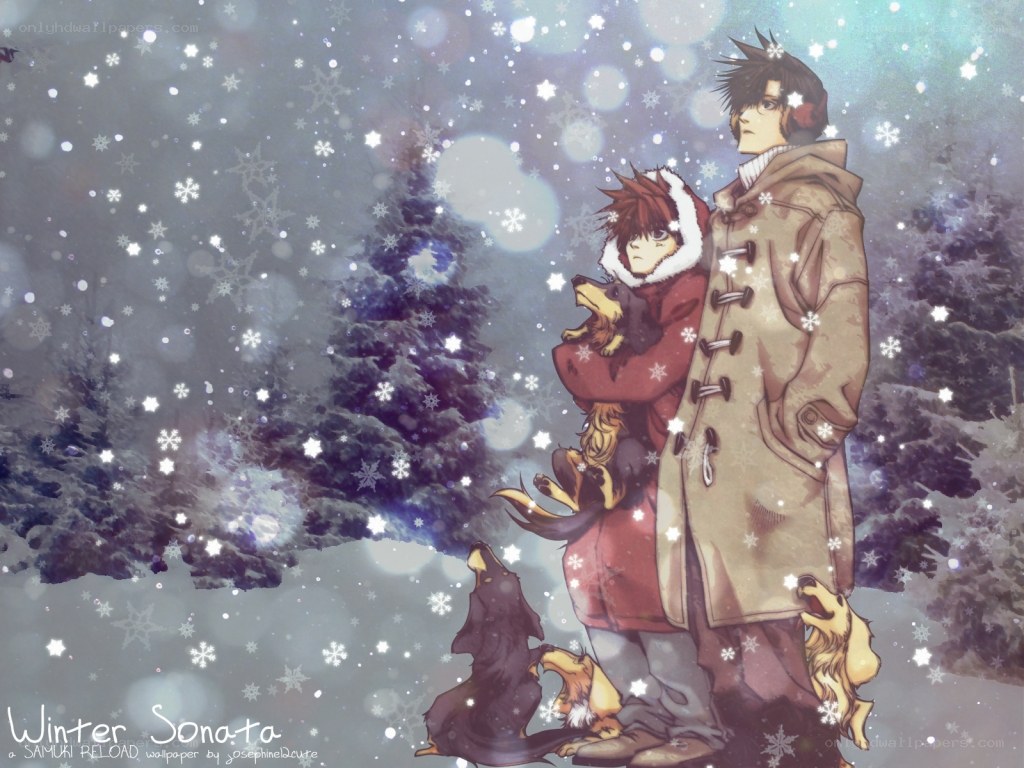 Winter Sonata artwork
