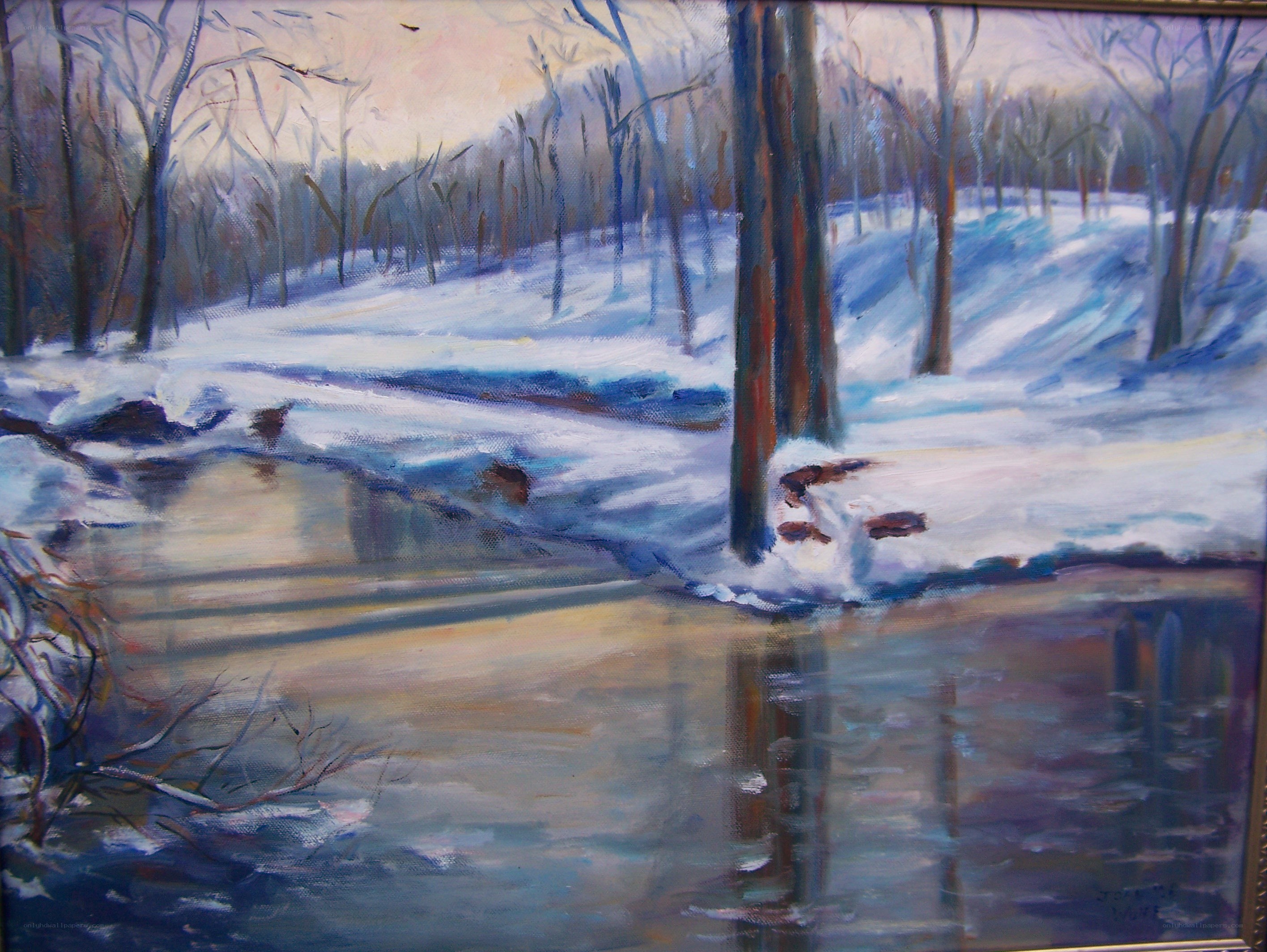 Winter Stream in Snowy Forest