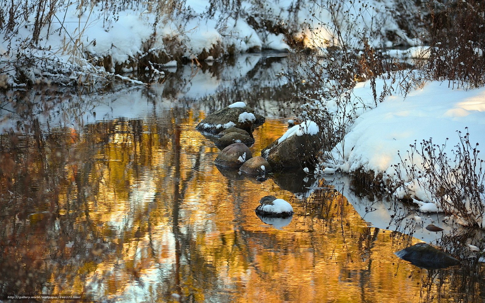 Winter stream with golden reflections