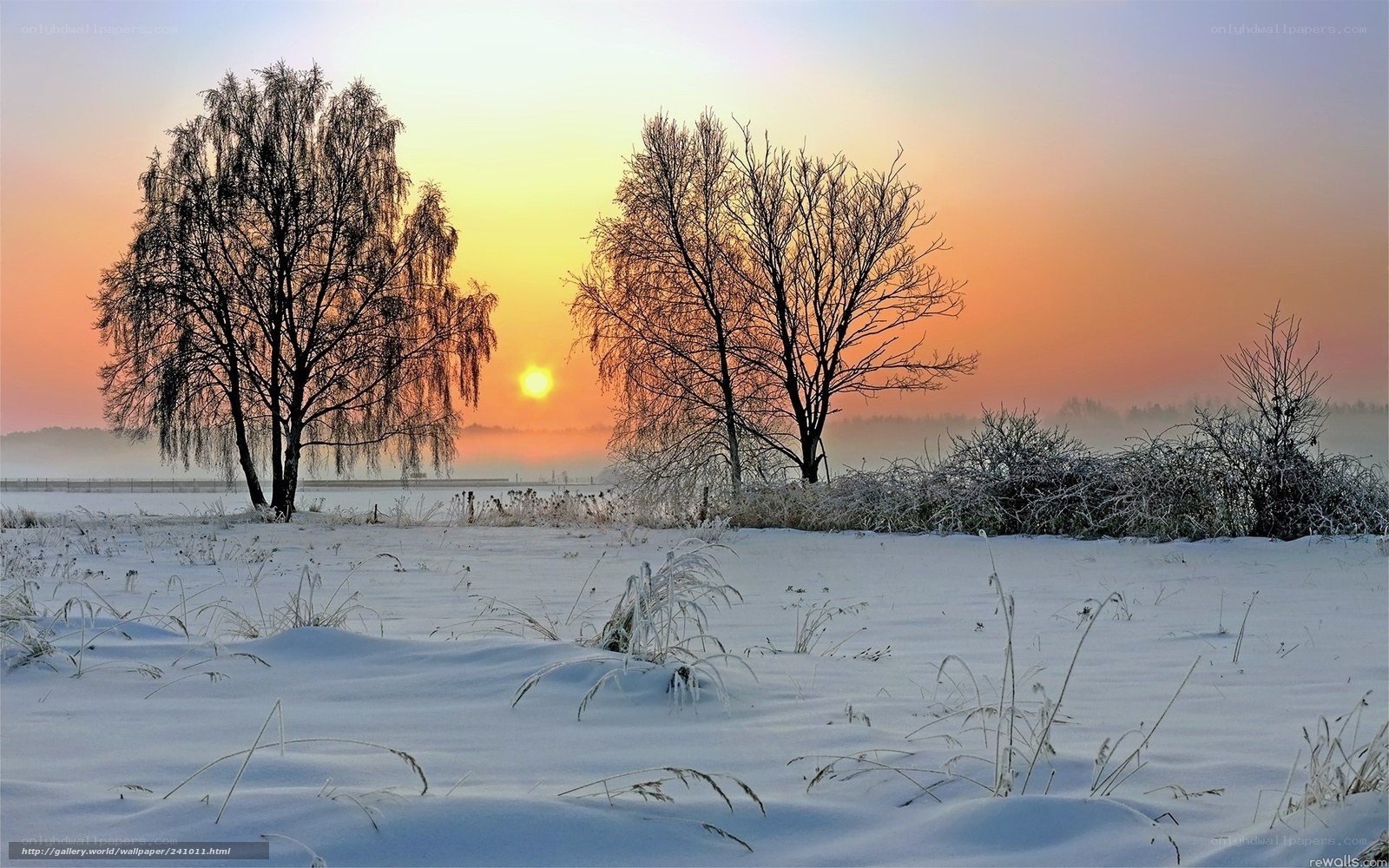 Winter sunrise over snow-covered field