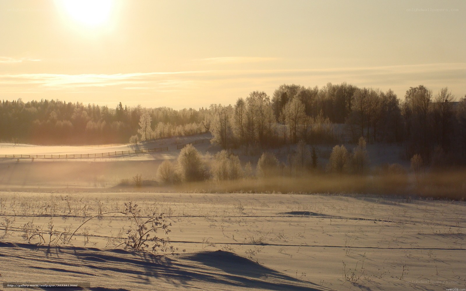 Winter sunrise over snow-covered fields