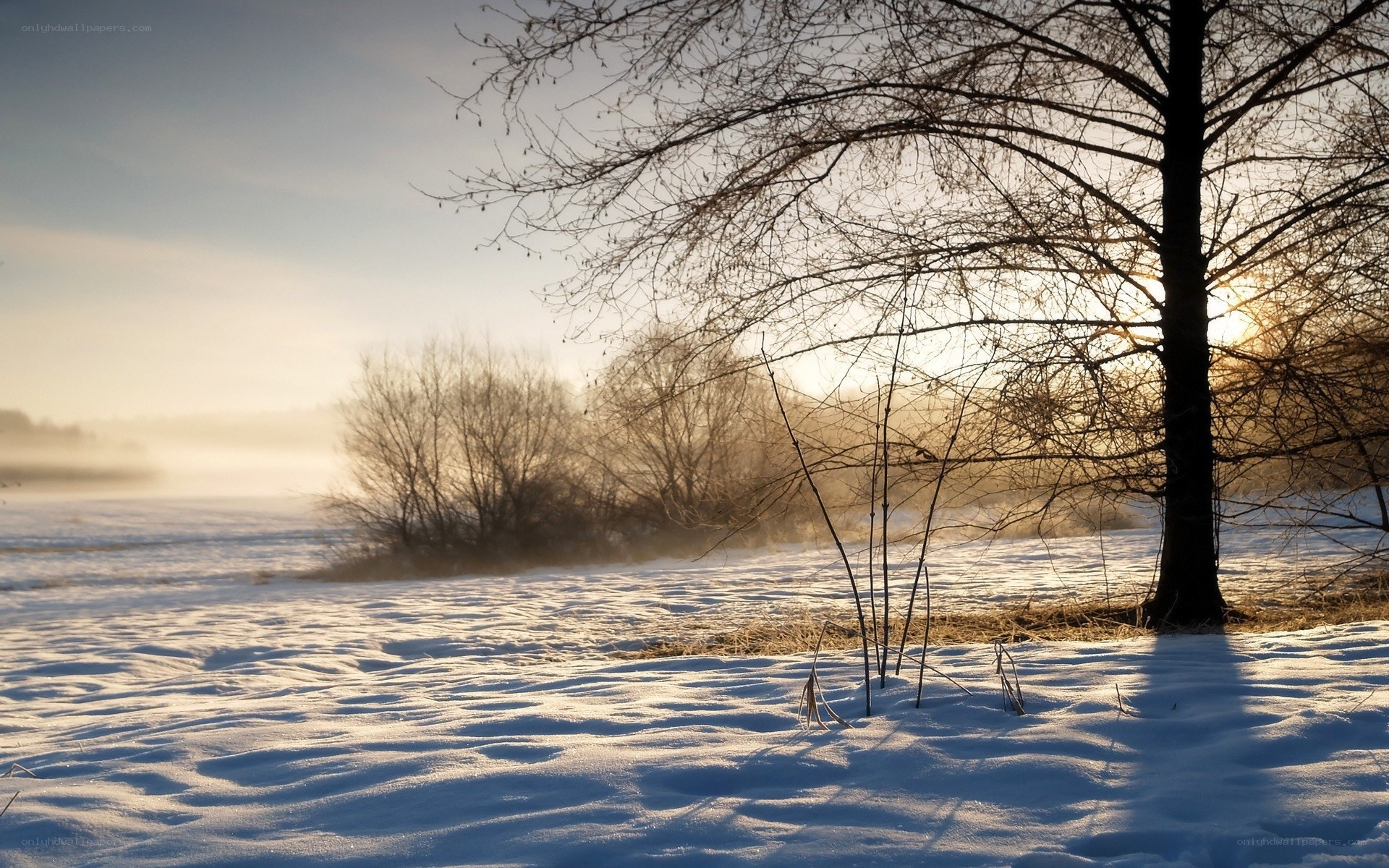 Winter sunrise over snowy field