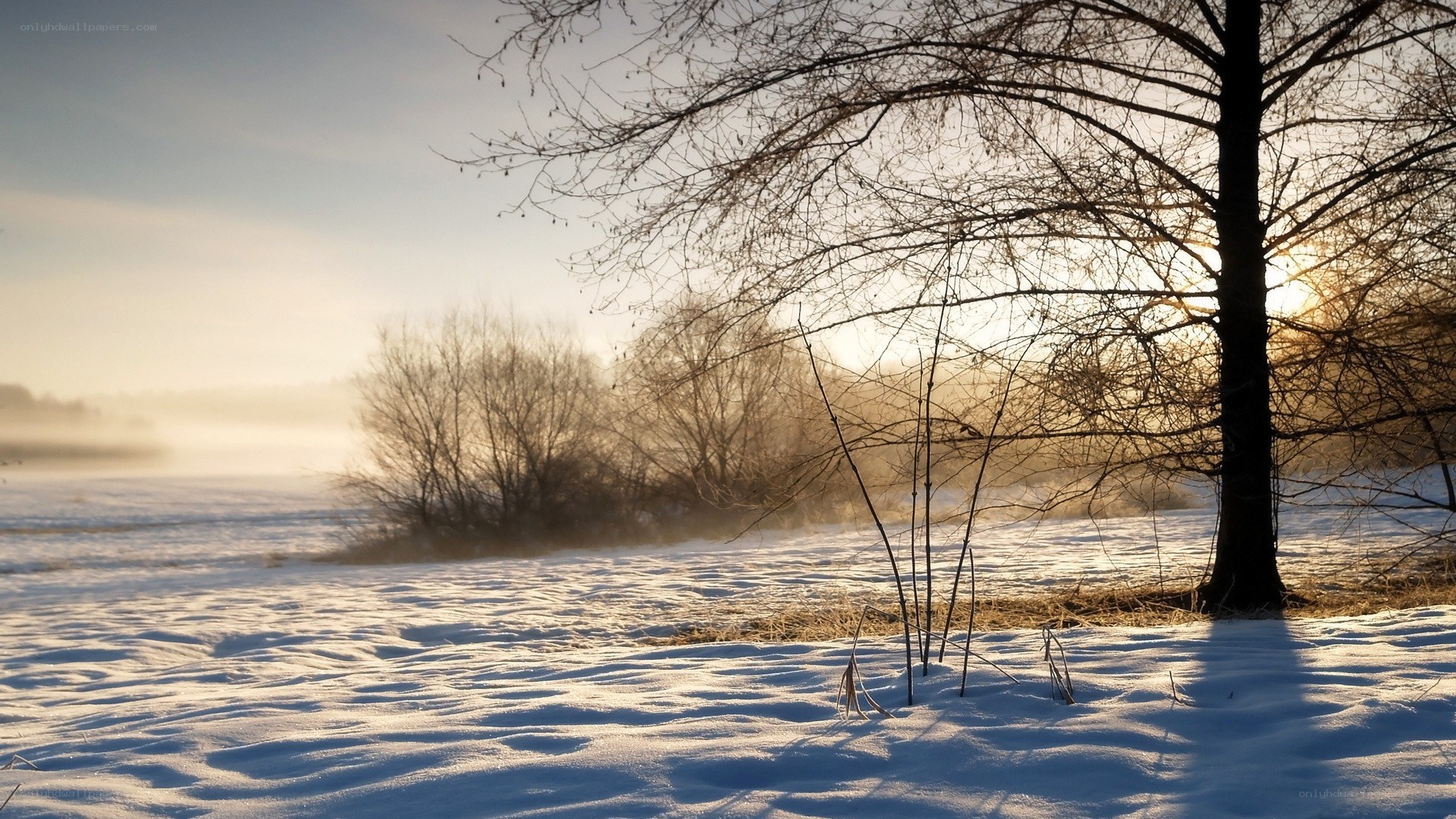 Winter sunrise over snowy field