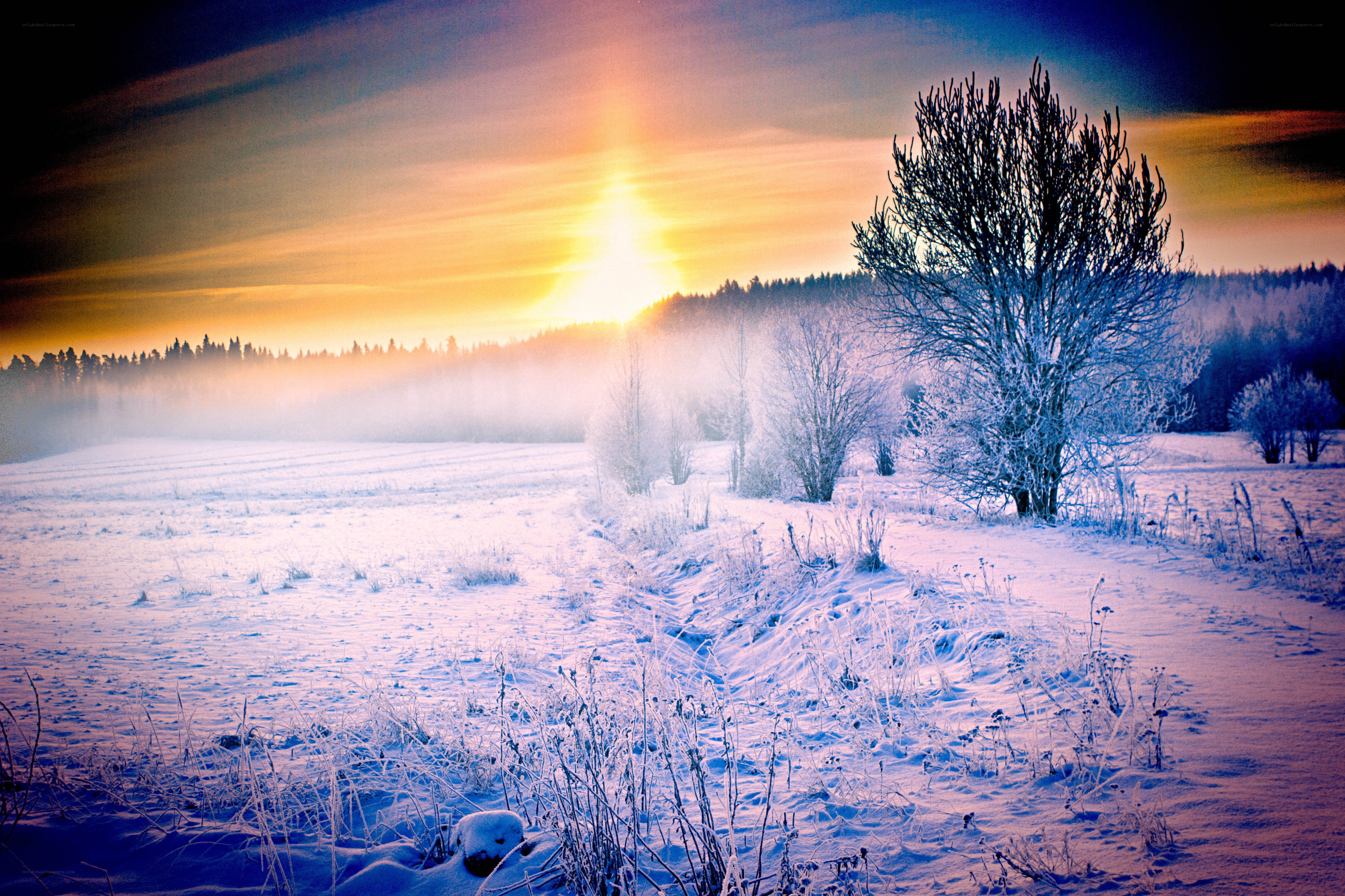 Winter sunrise over snowy field