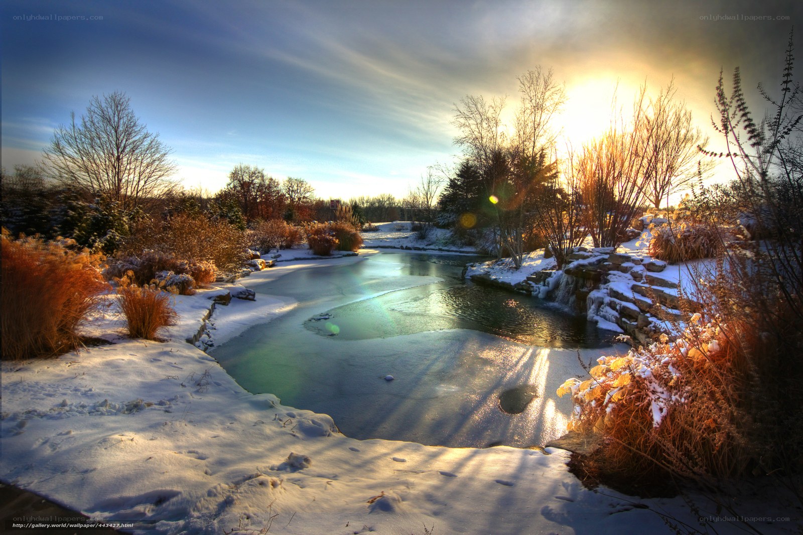 Winter sunset by a frozen pond