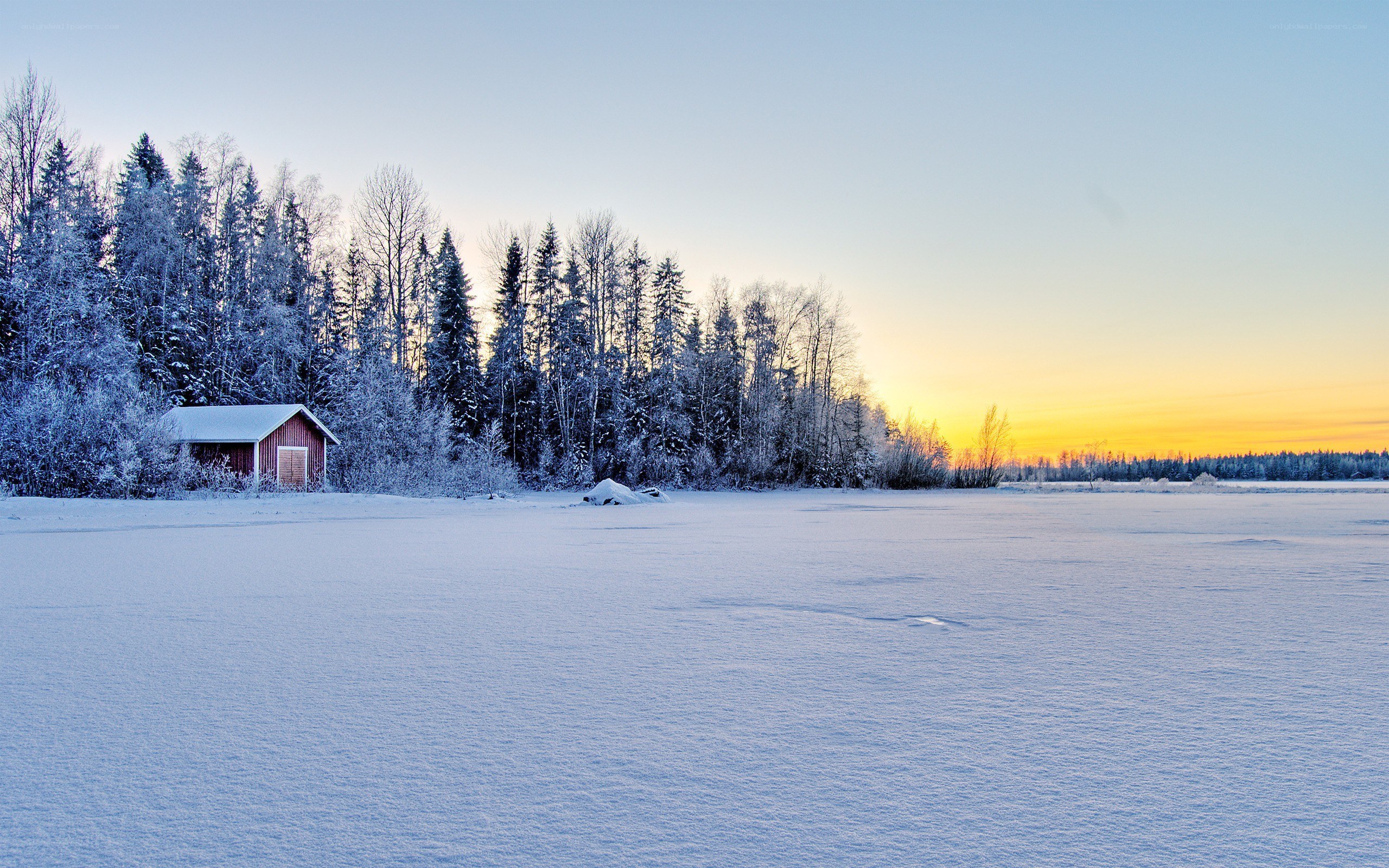Winter sunset by a red cabin