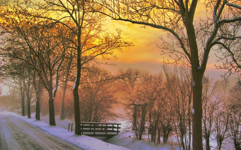 Winter sunset by a snowy path