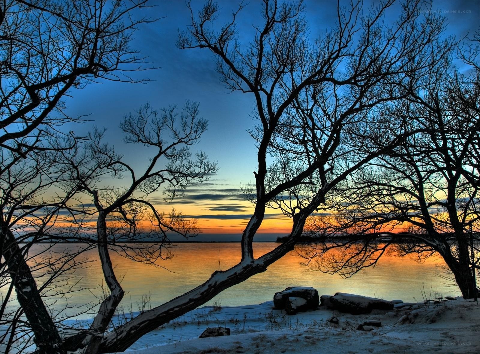 Winter sunset by the lake