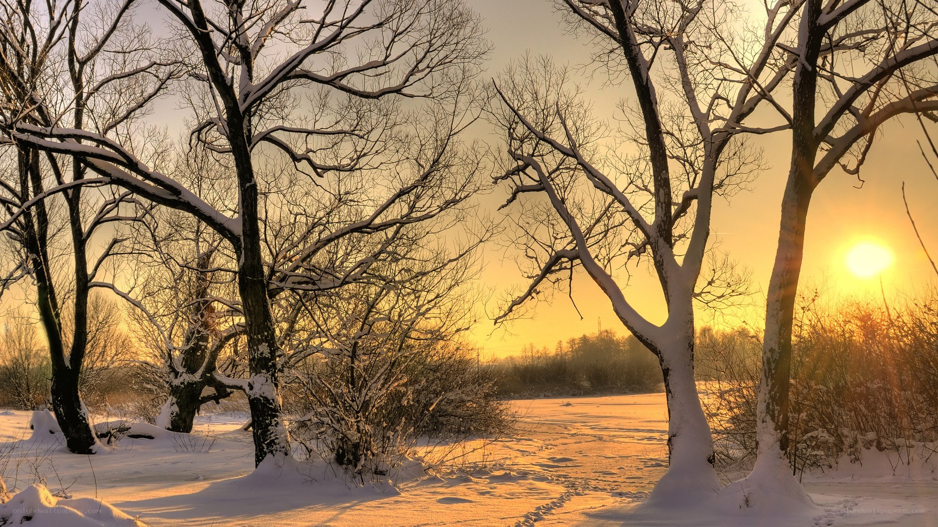 Winter sunset by the river