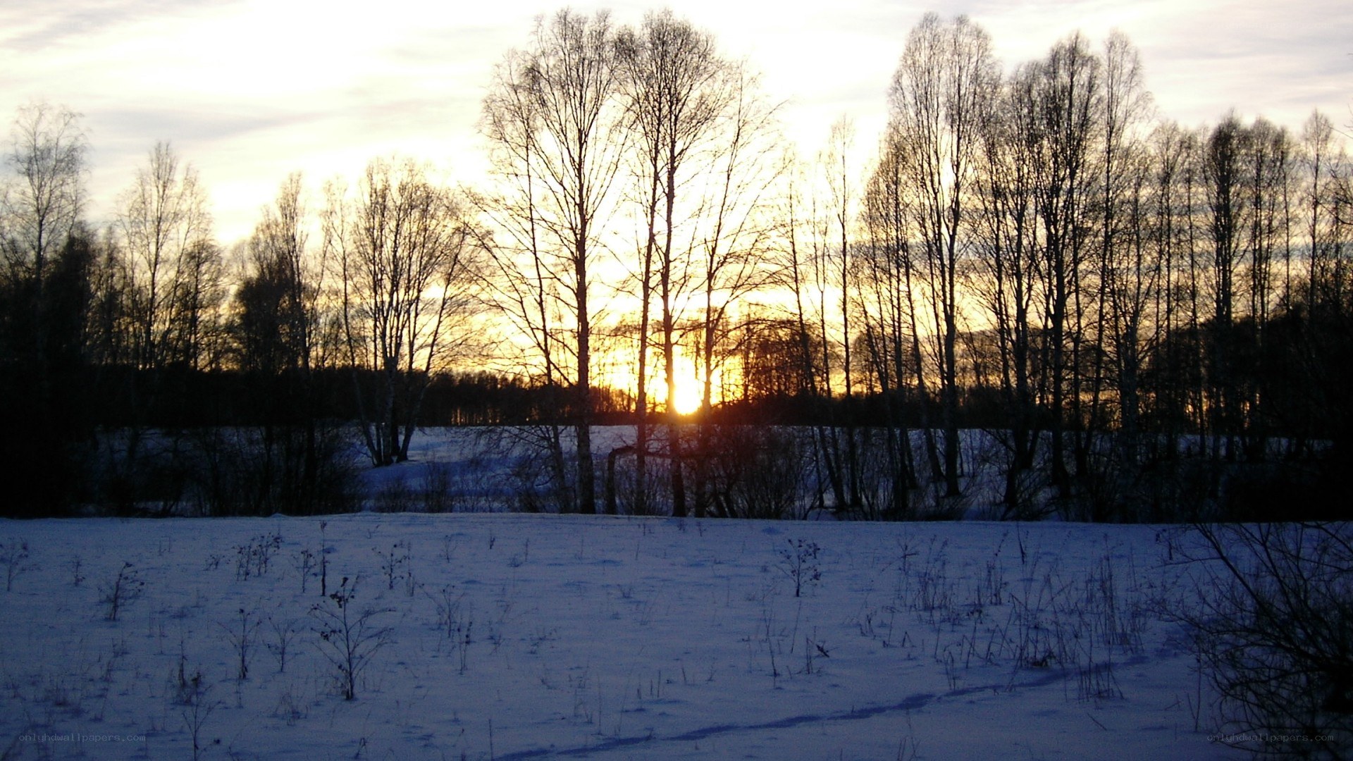 Winter sunset in a snowy field