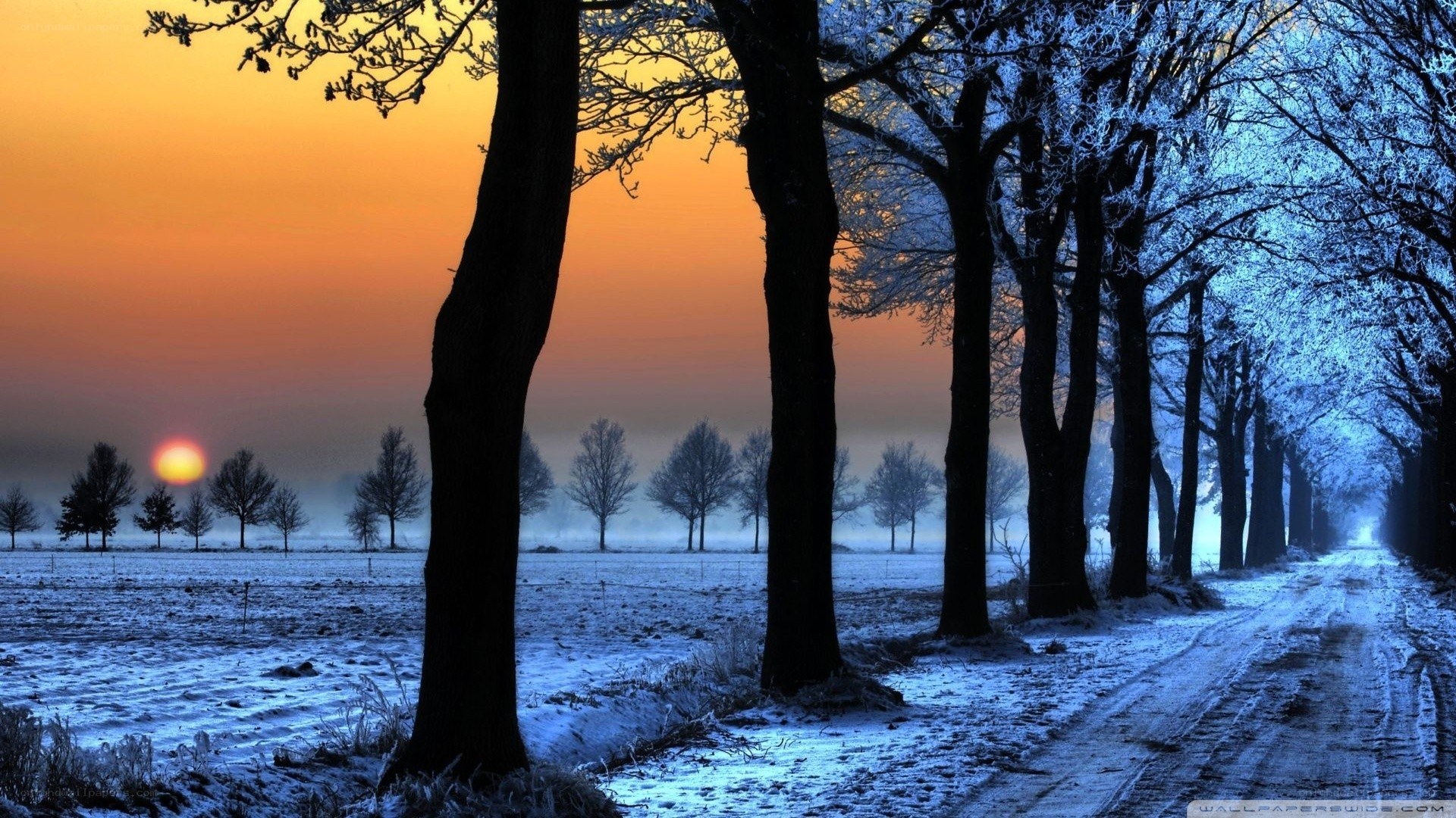 Winter sunset on a snowy road