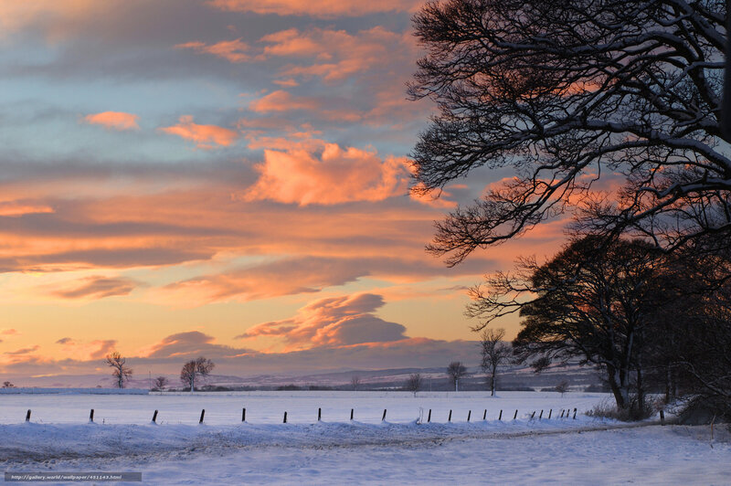 Winter sunset over snow-covered field