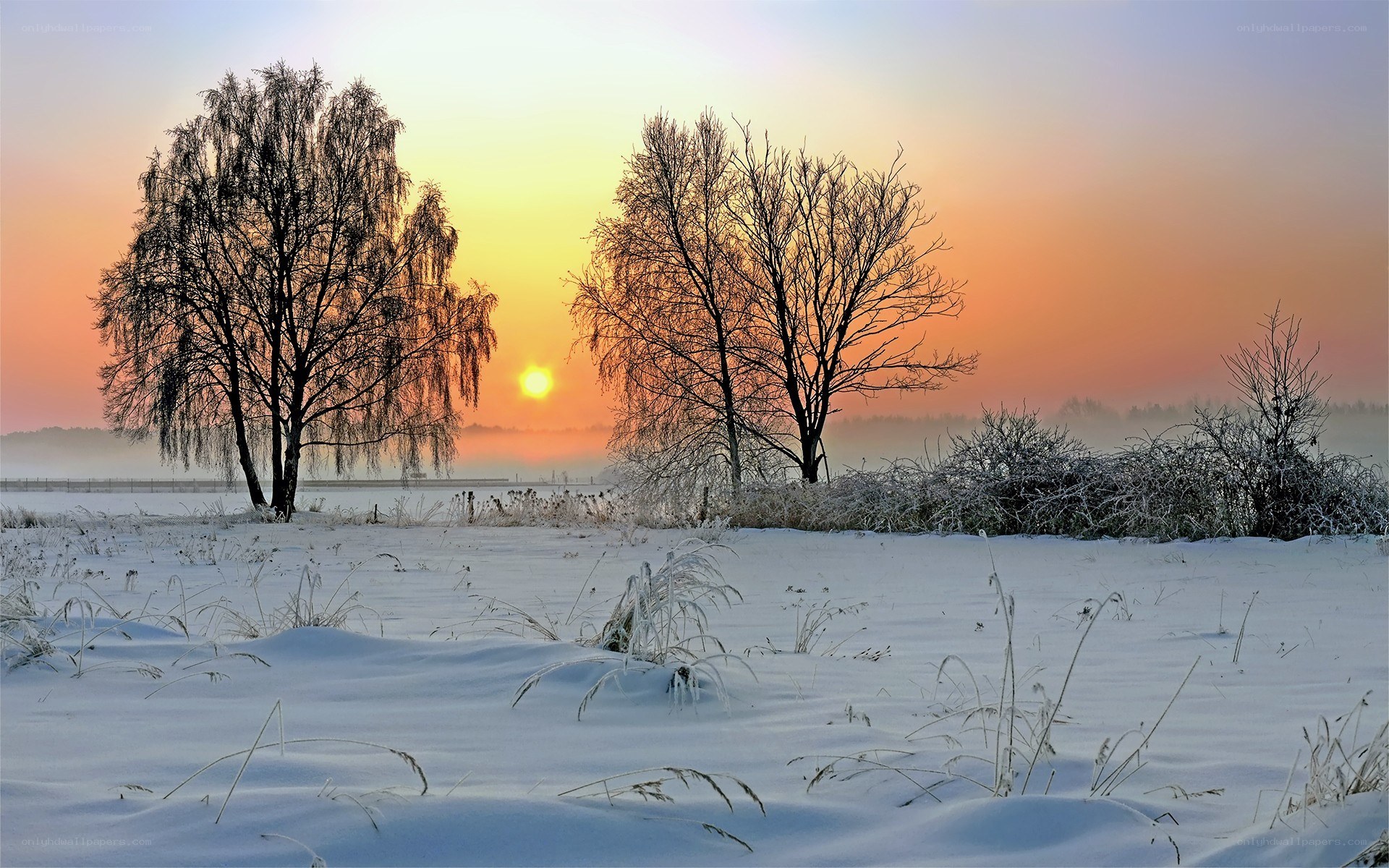 Winter sunset over snow-covered field