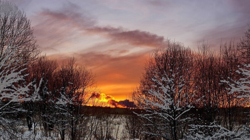 Winter sunset over snow-covered trees