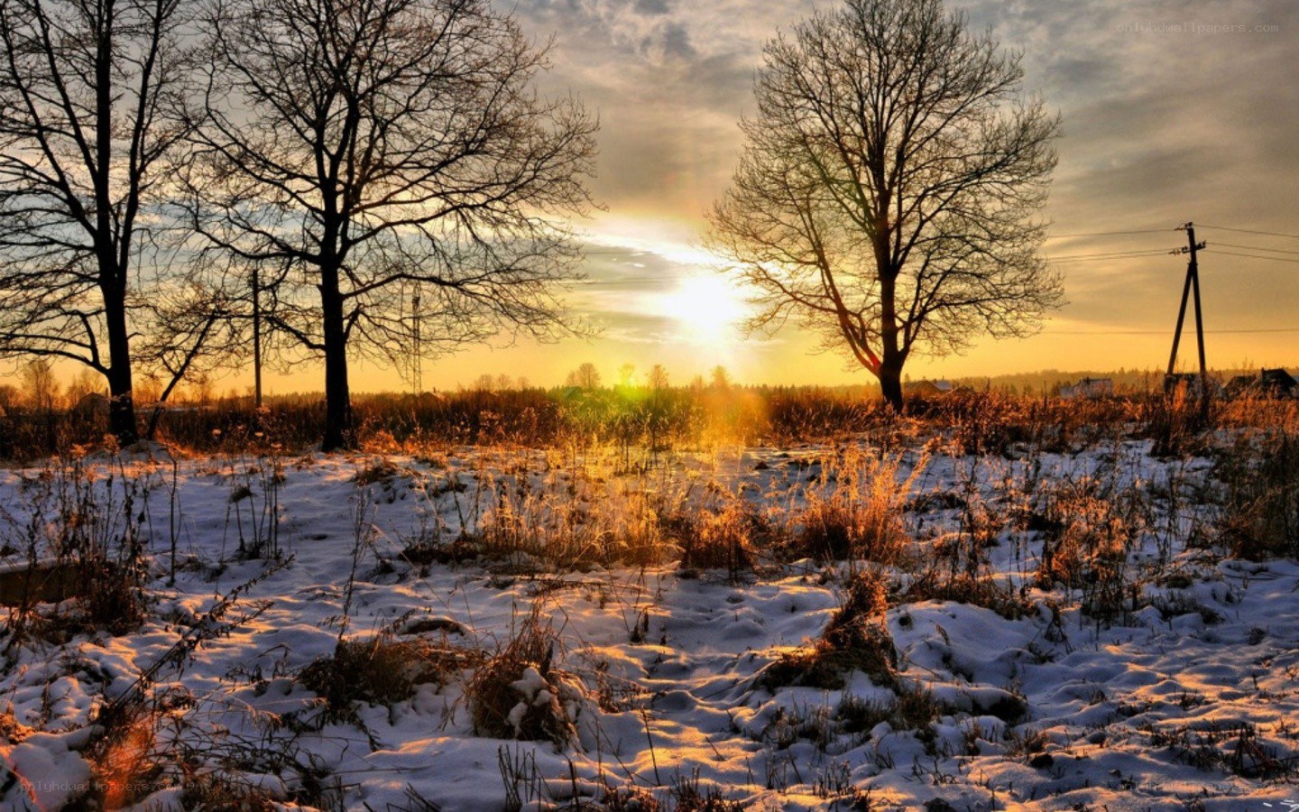 Winter sunset over snowy field