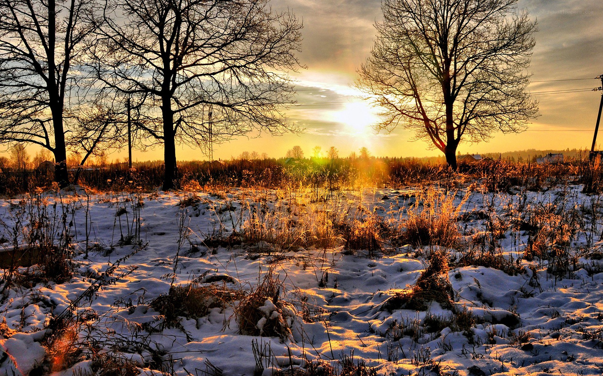 Winter sunset over snowy field