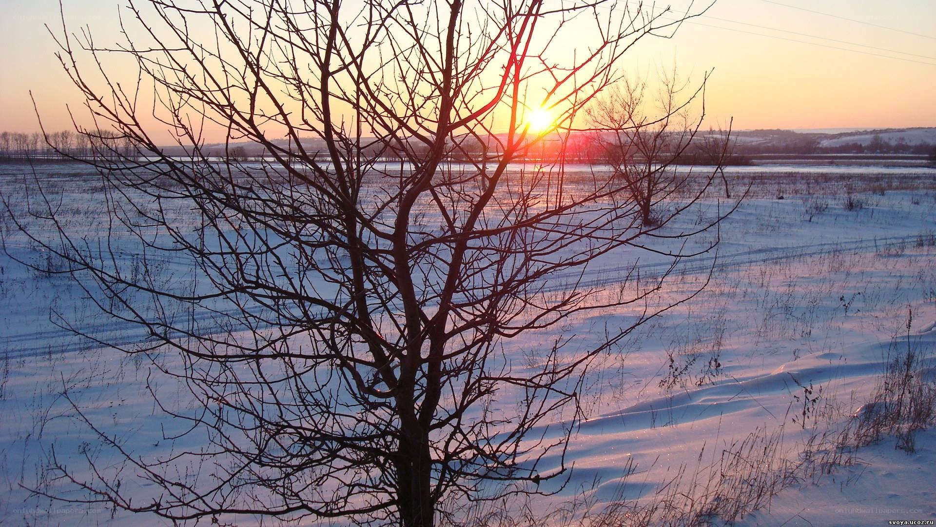 Winter sunset over snowy field