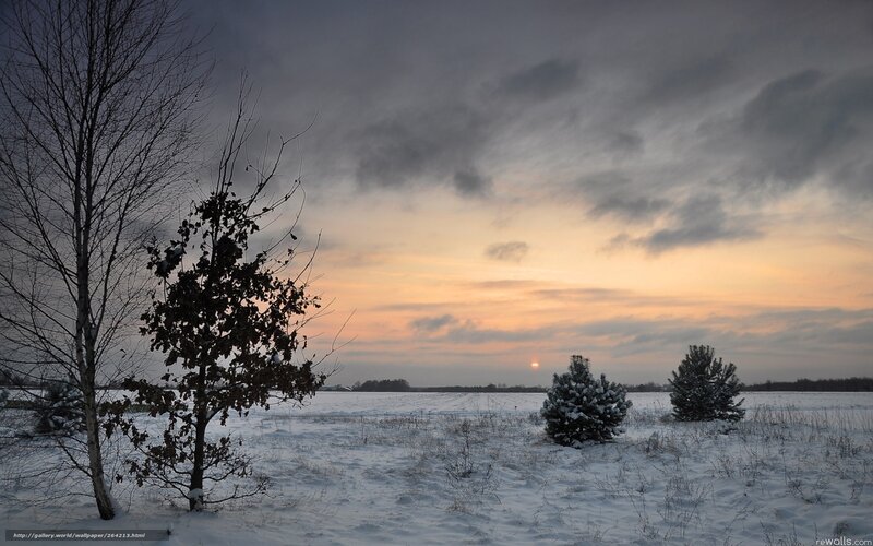 Winter sunset over snowy field
