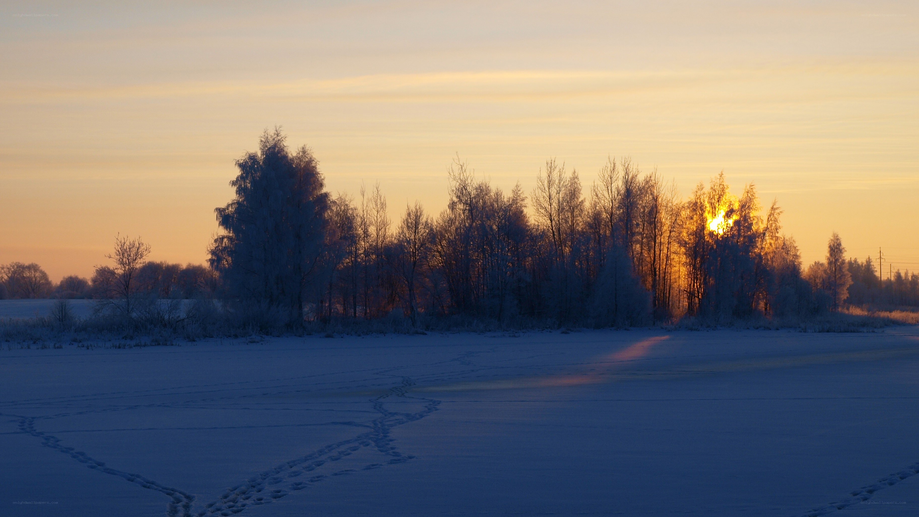 Winter sunset over snowy field