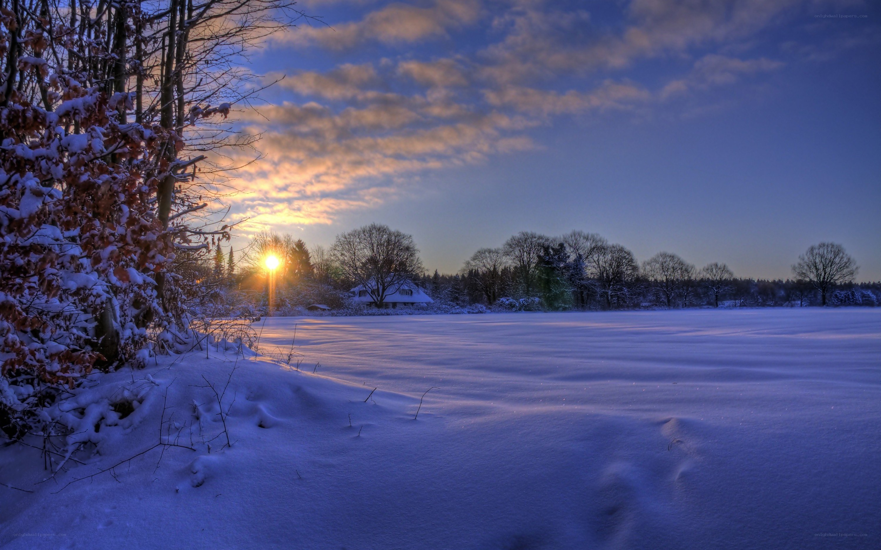 Winter sunset over snowy field