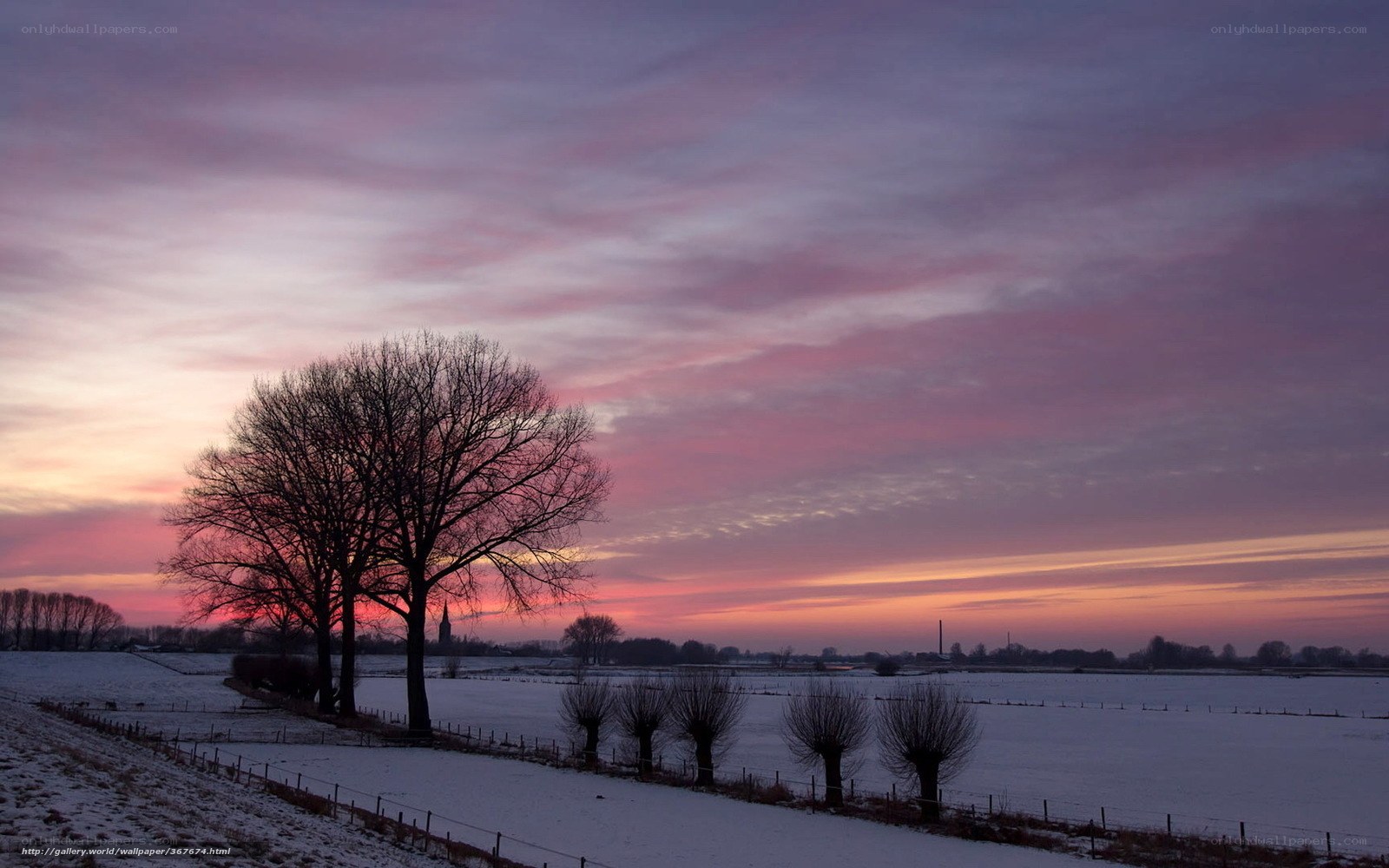 Winter sunset over snowy fields