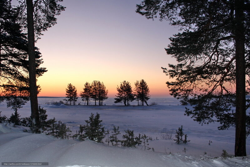 Winter sunset over snowy forest