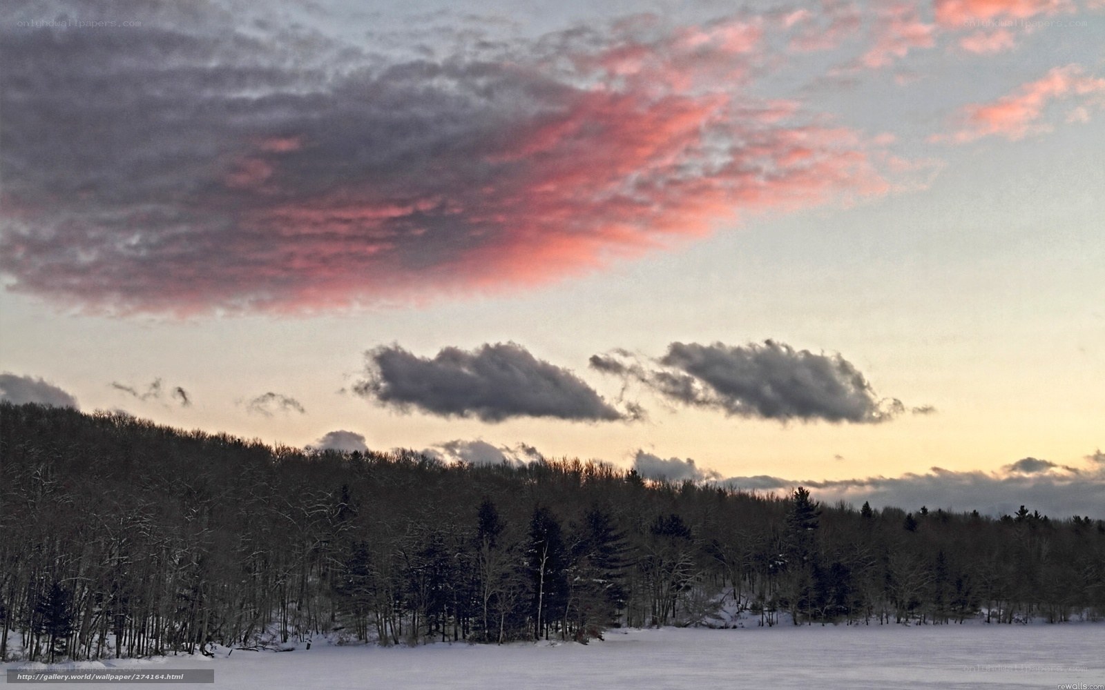 Winter sunset over snowy forest