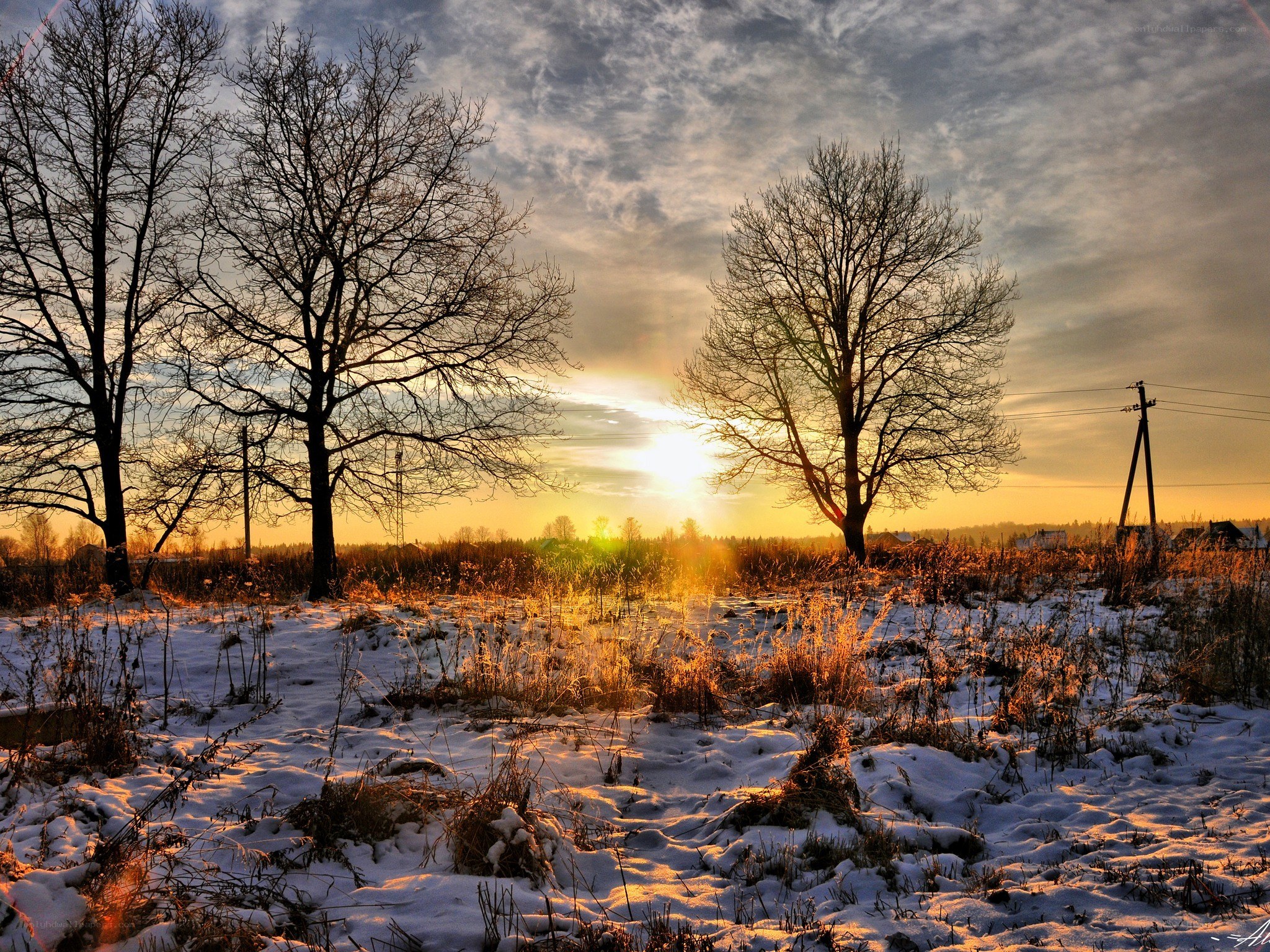 Winter sunset with bare trees