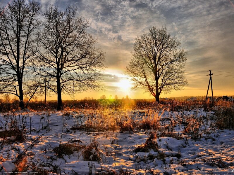 Winter sunset with bare trees